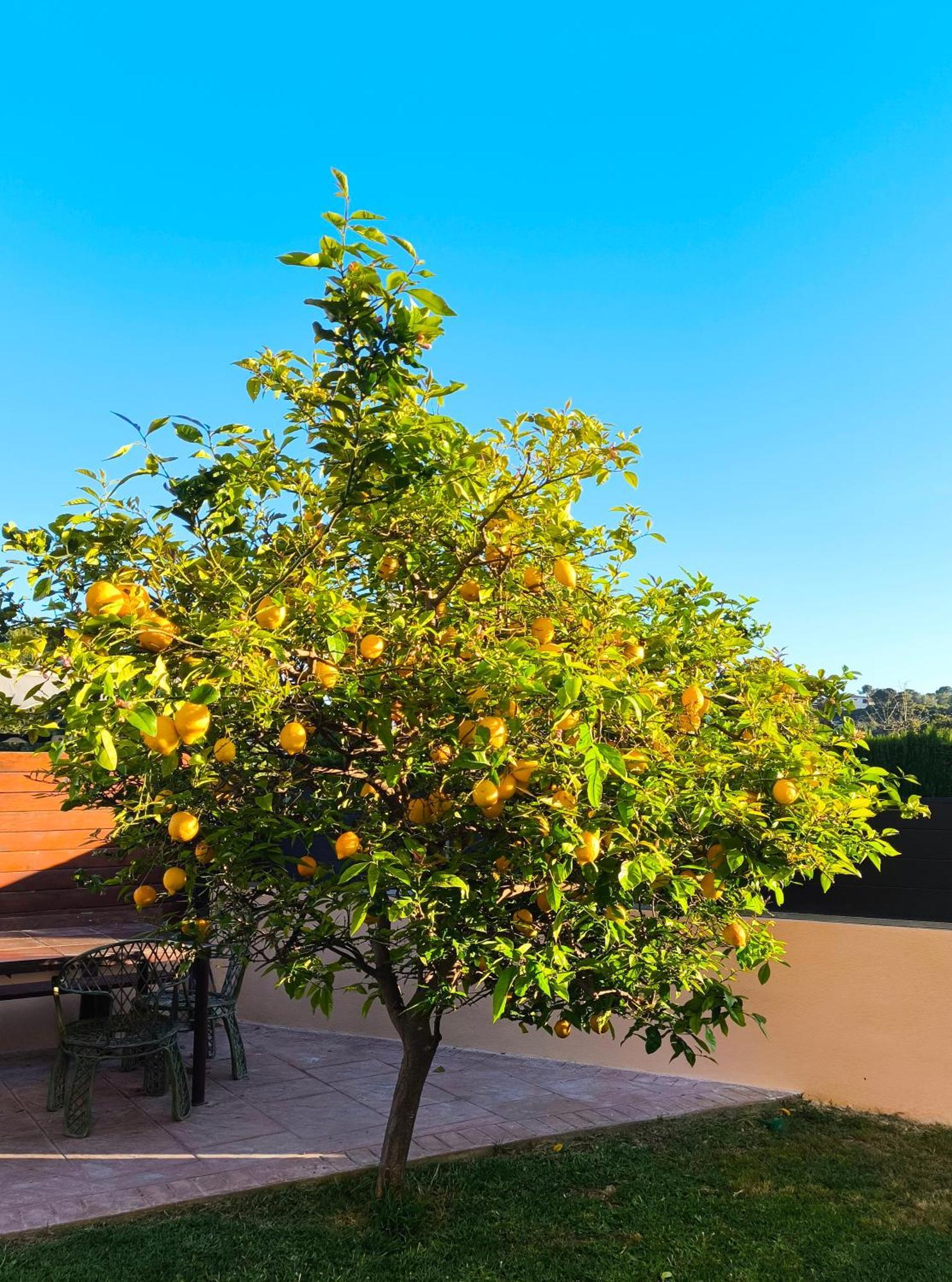 Adosado Con Jardin En Los Xalets De 살루 외부 사진